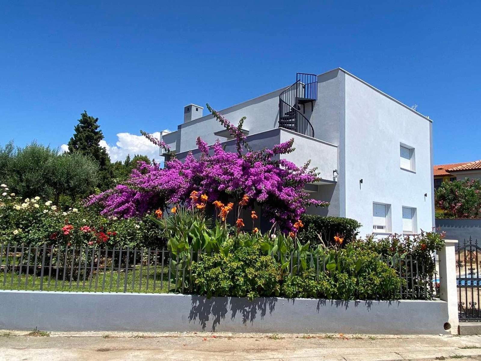 Villa Daniel Pola Esterno foto